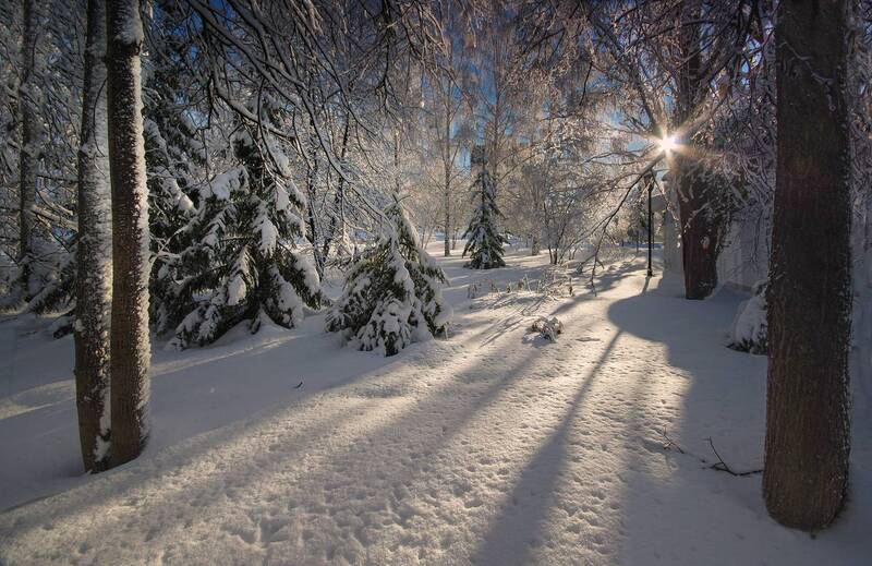 зима, снег, солнце, свет, новосибирск Зима в городе фото превью