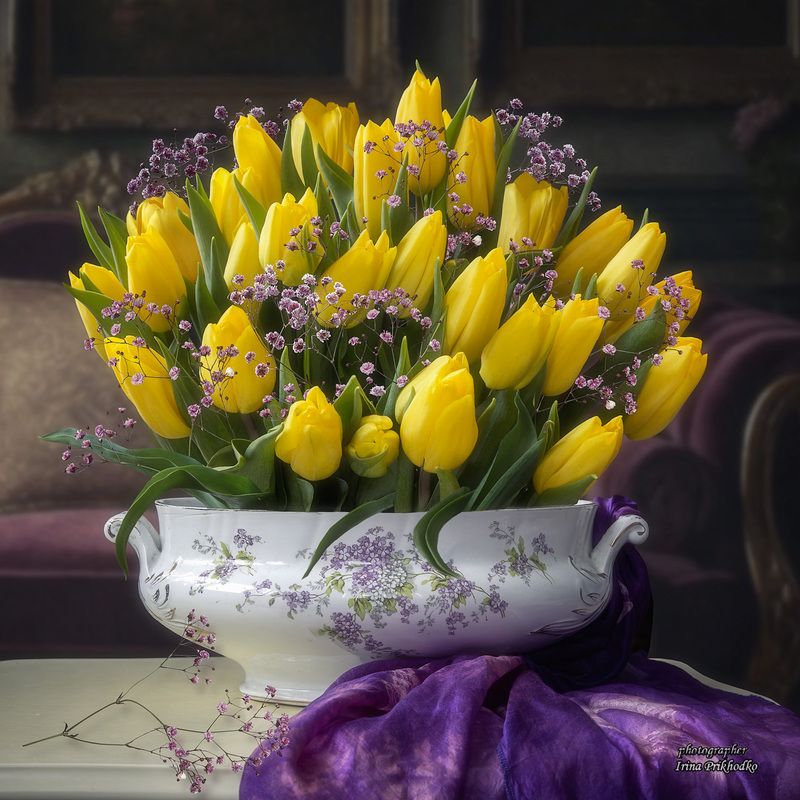 натюрморт, цветы, тюльпаны, желтые тюльпаны, весна Аромат весны фото превью