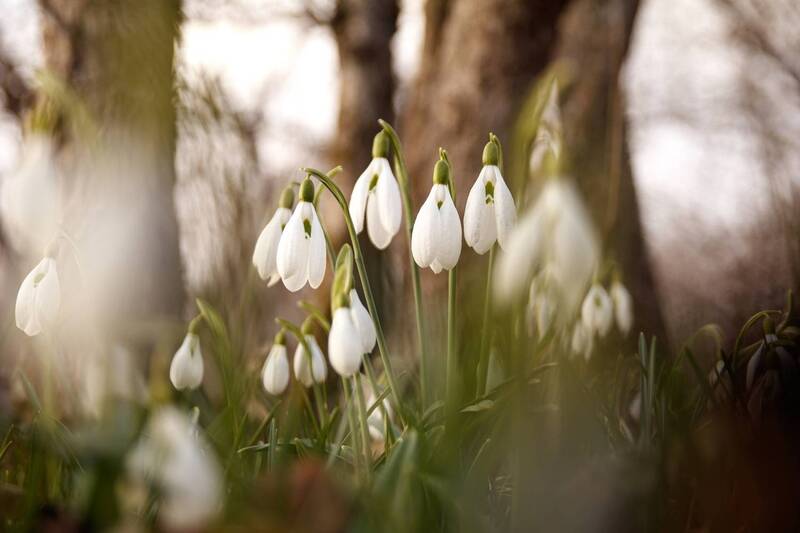 крым Весна в Крыму фото превью