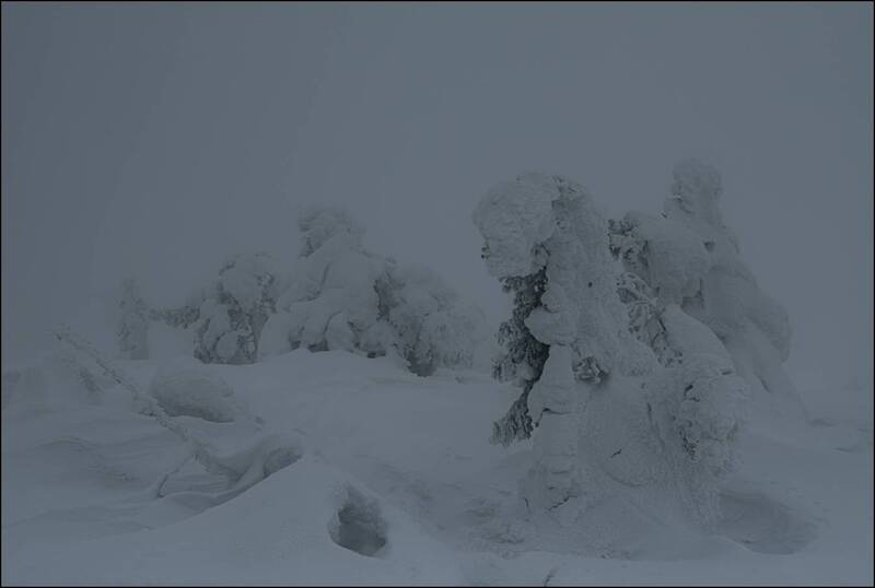 Про ёжика в облачном тумане фото превью