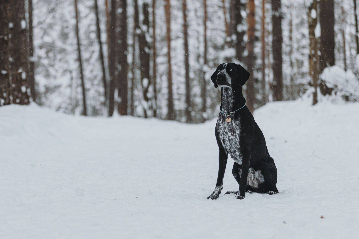 , Полина Беспалова