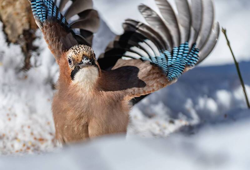 Солнечное па фото превью