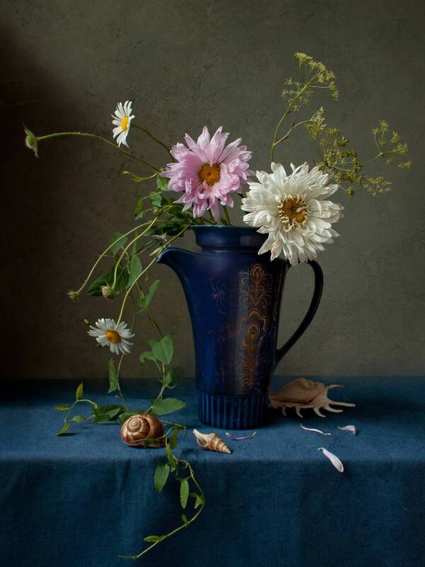 цветы, астры, кувшин, натюрморт Астры в синем кувшине фото превью