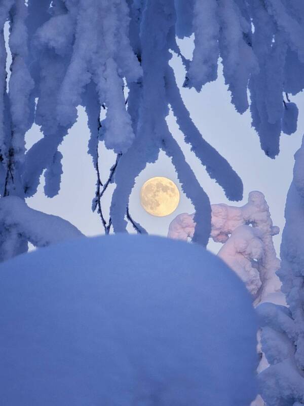 В обьятьях зимы фото превью