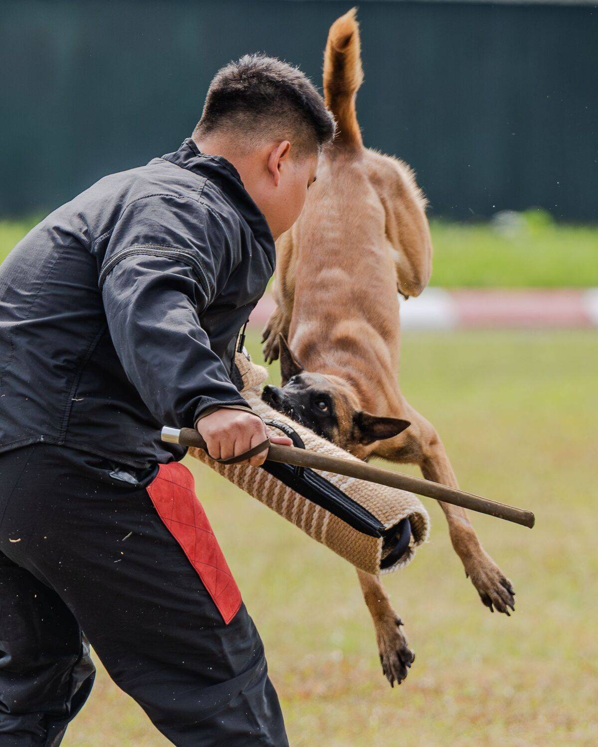 , Сергей Жиркевич