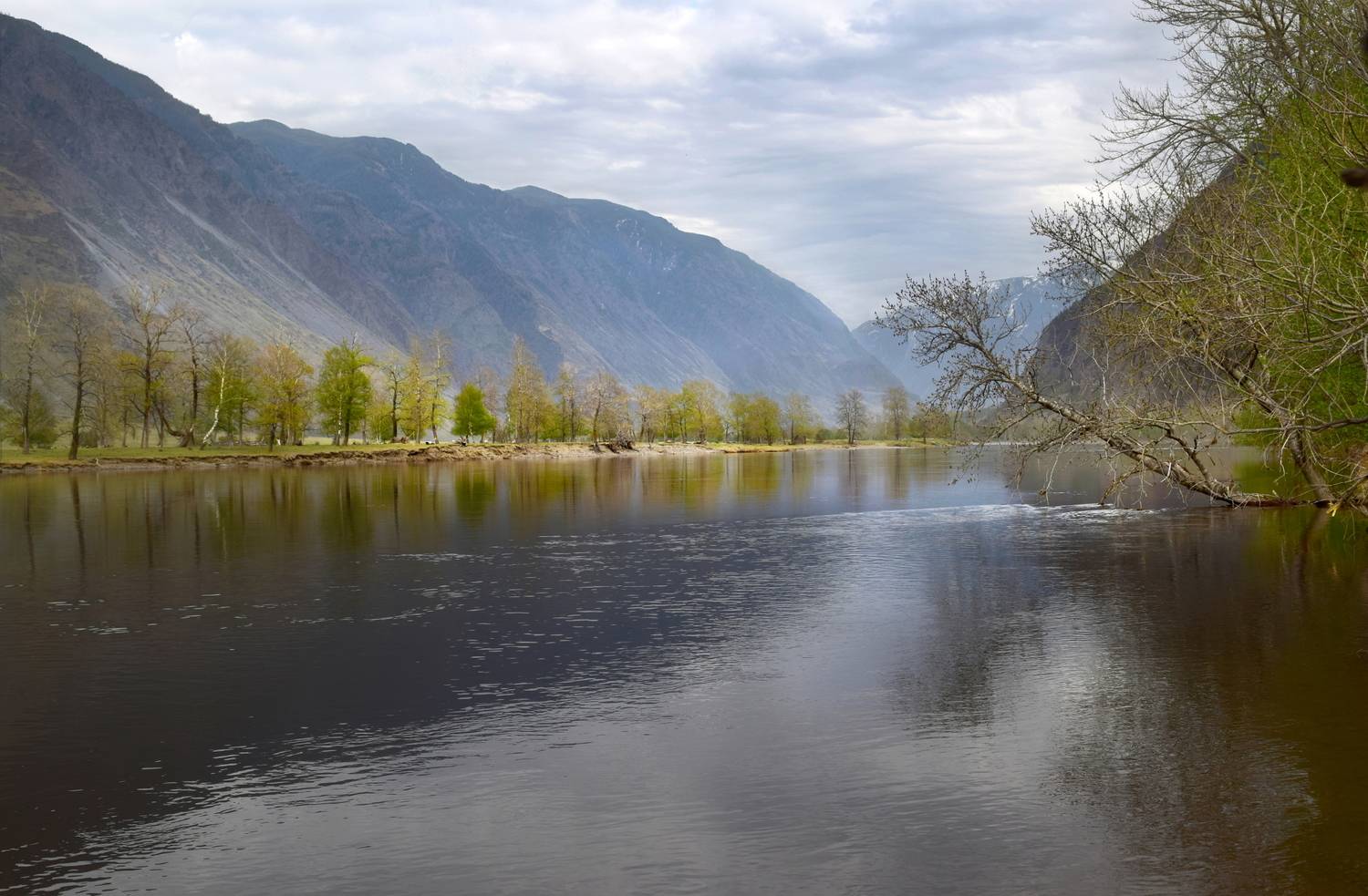 , Крат Светлана