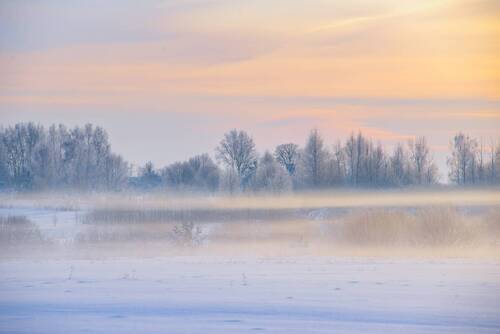 Слоистый туман