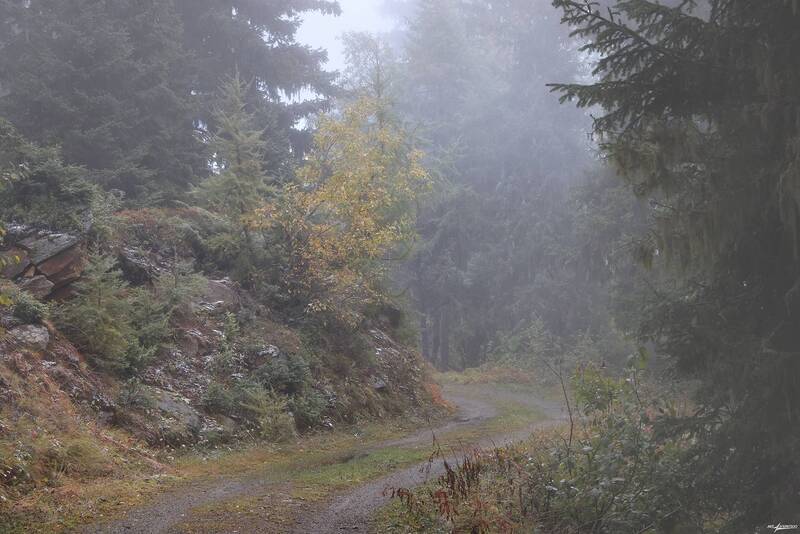 swiss Дороги... фото превью