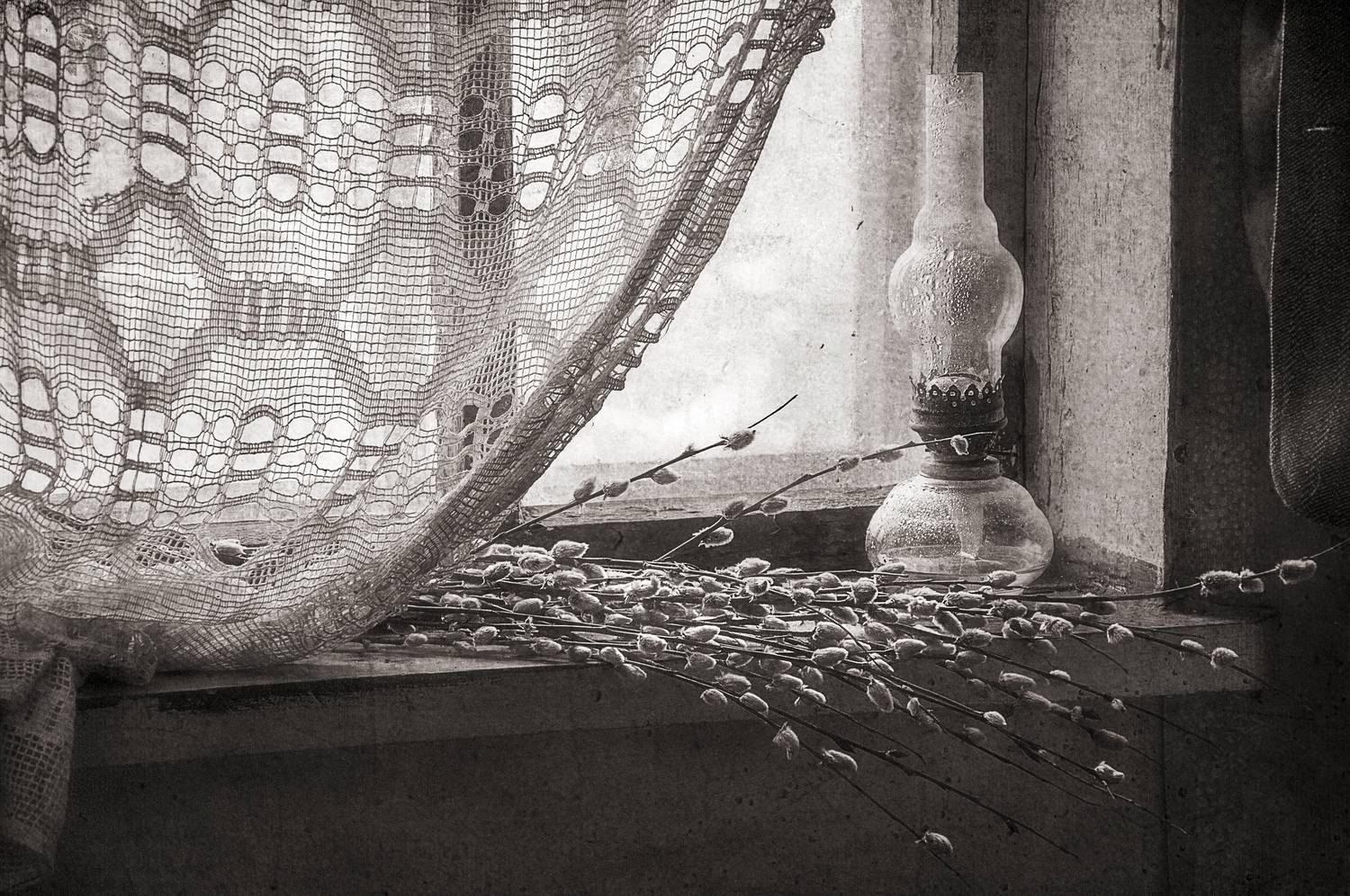 натюрморт, весна, монохром, котики, окно, настроение, still life, spring mood, window, march, Буглак Инна