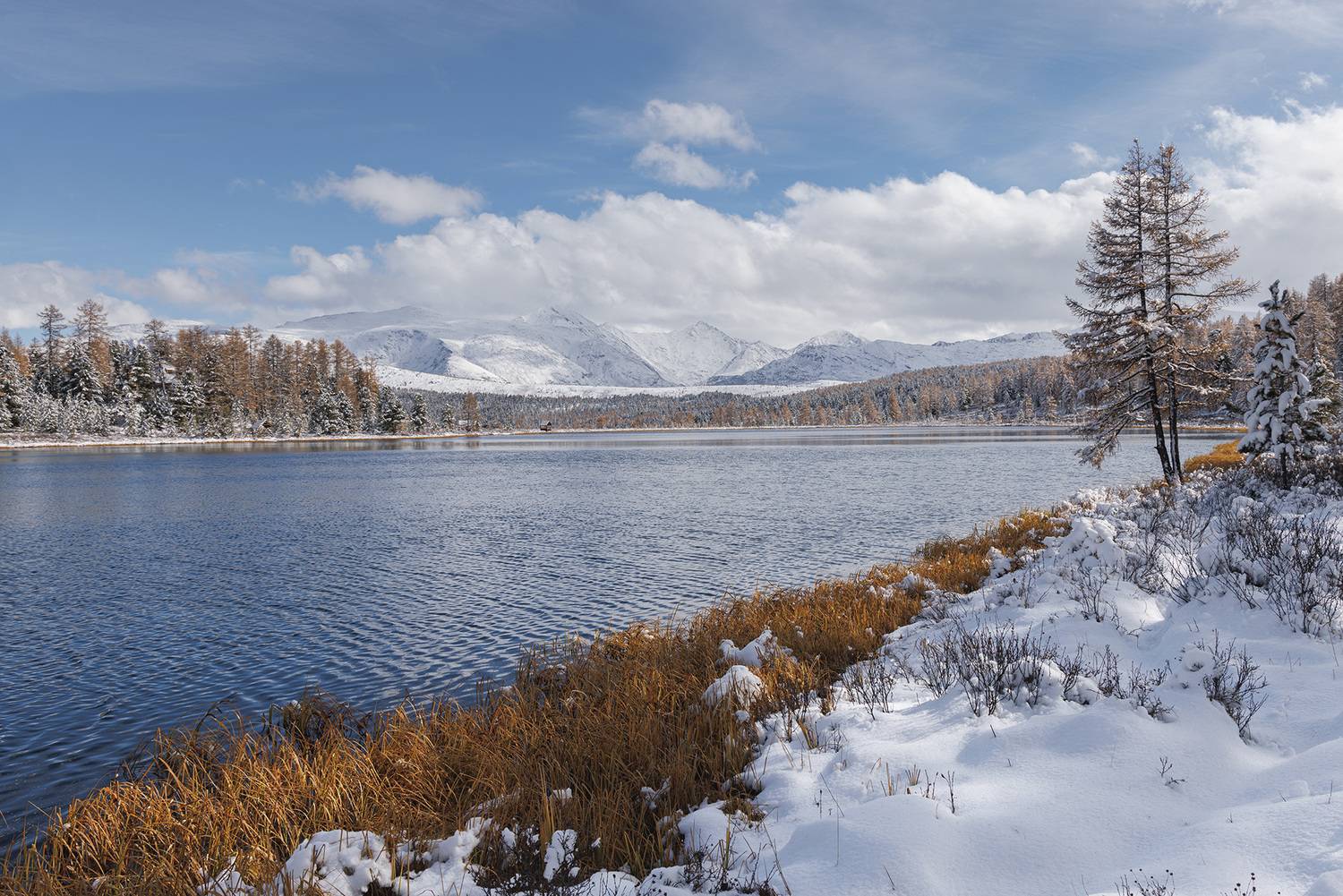 , Морозов Сергей