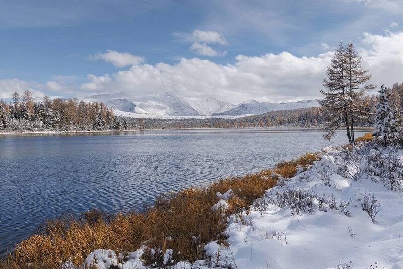 Киделю фото превью