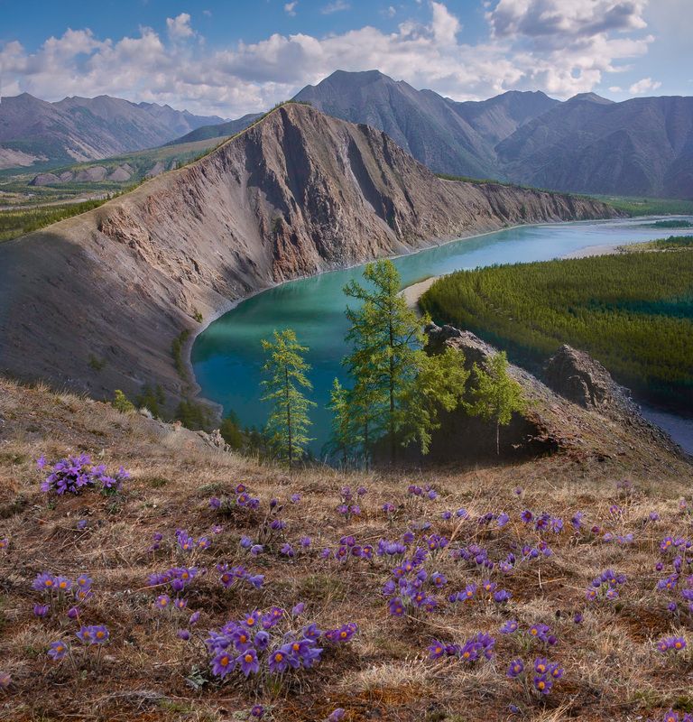 Фототуры с Владимиром Рябковым, topnature russpasibo magic_shots lov Весна на Индигирке. фото превью