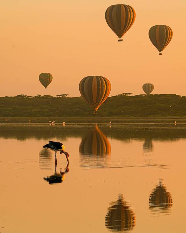 «Не взлетим, так поплаваем» фото превью