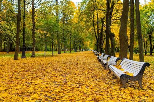 осень в питере