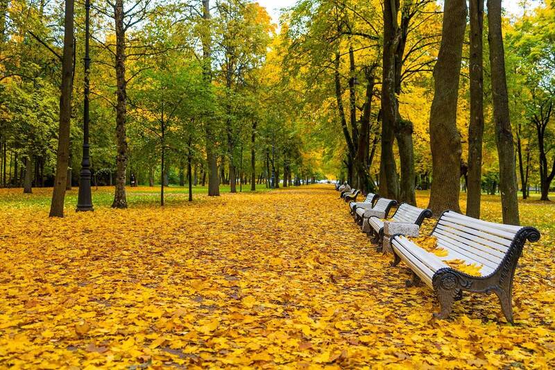 осень в питере фото превью