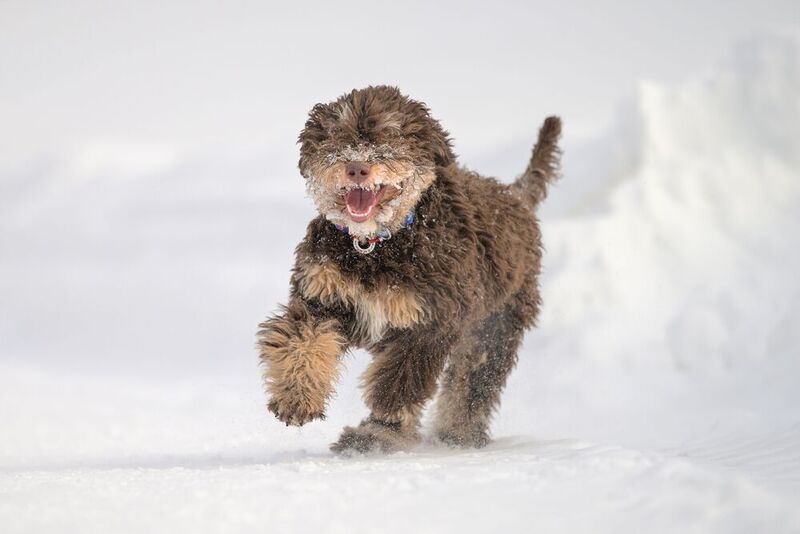 Fanya фото превью