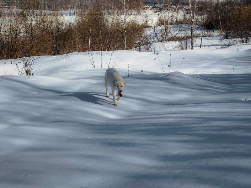 фото превью