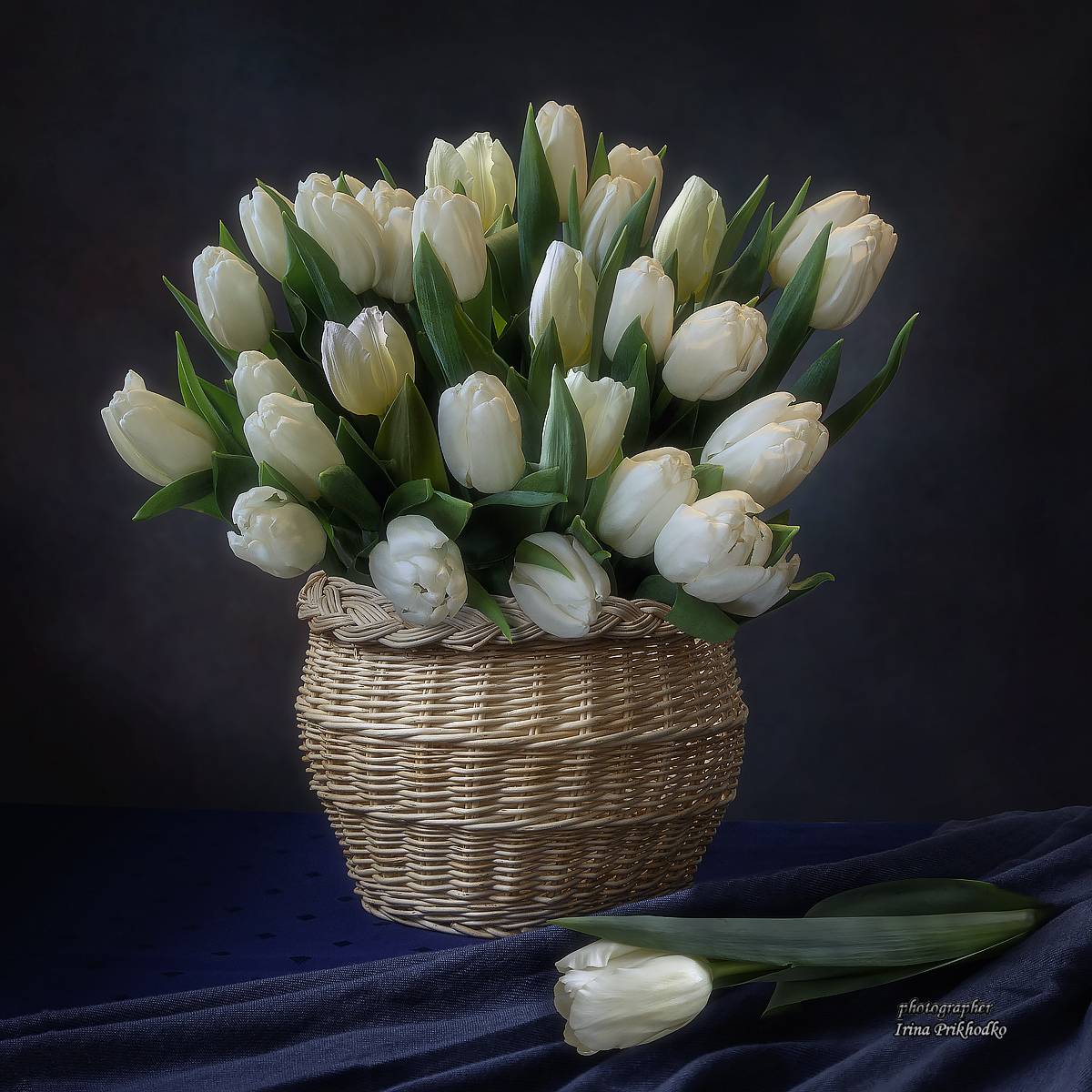 натюрморт, цветы, весна, тюльпаны, Приходько Ирина