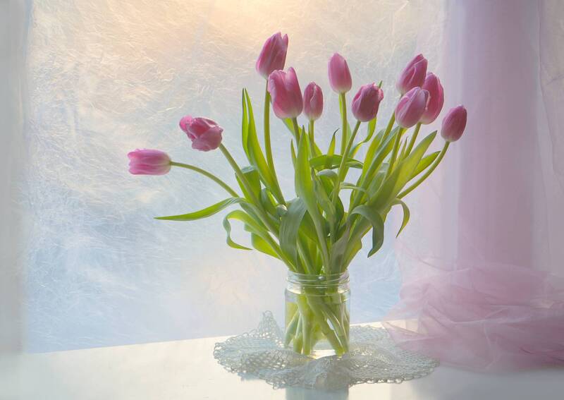 ... что в сердце нераскрытого тюльпана? фото превью