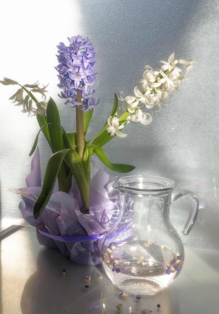 , Ирина Данилова