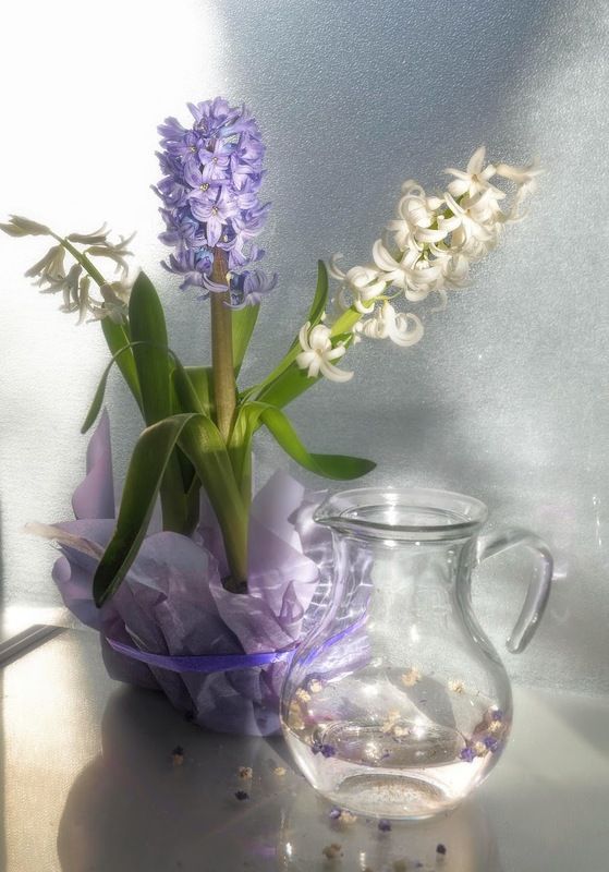 Разгадка загадок, и явных, и тайных фото превью