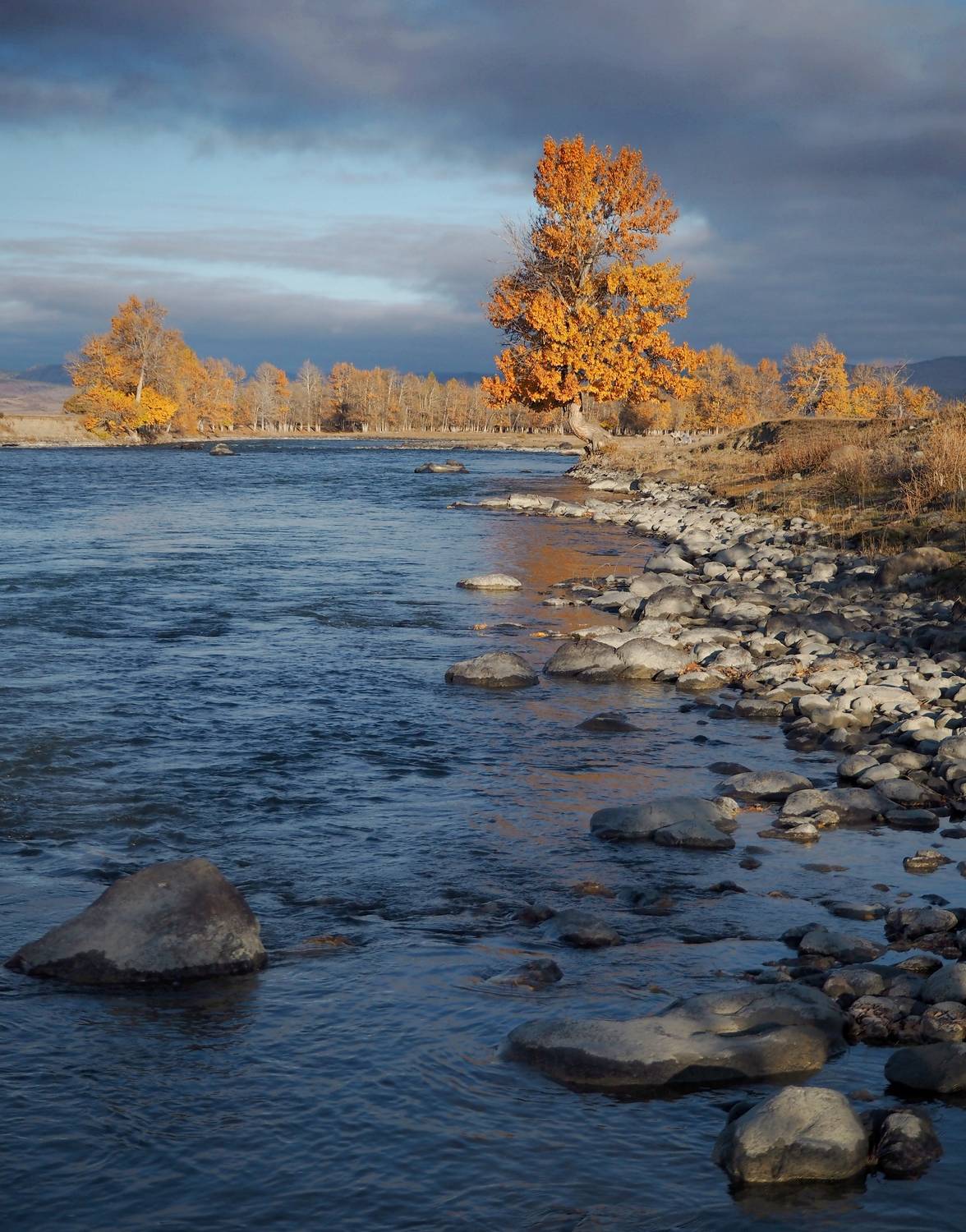 , Яковлев Евгений