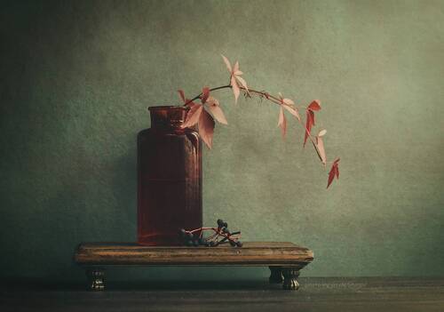 Фантазия с листьями винограда и оттенки