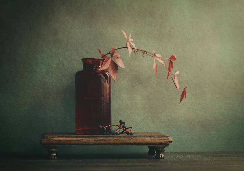 оттенки цвета, фантазия с листьями, натюрморт, still life, harmony and contemplation Фантазия с листьями винограда и оттенки фото превью
