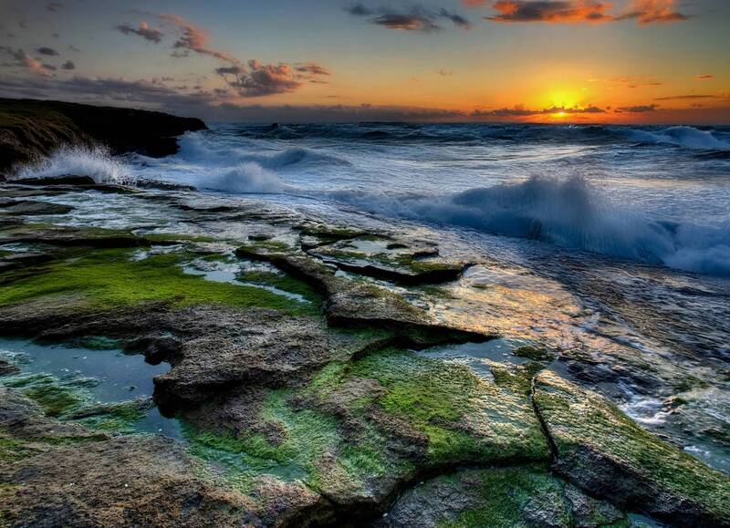 Зелёный бархат моря. фото превью