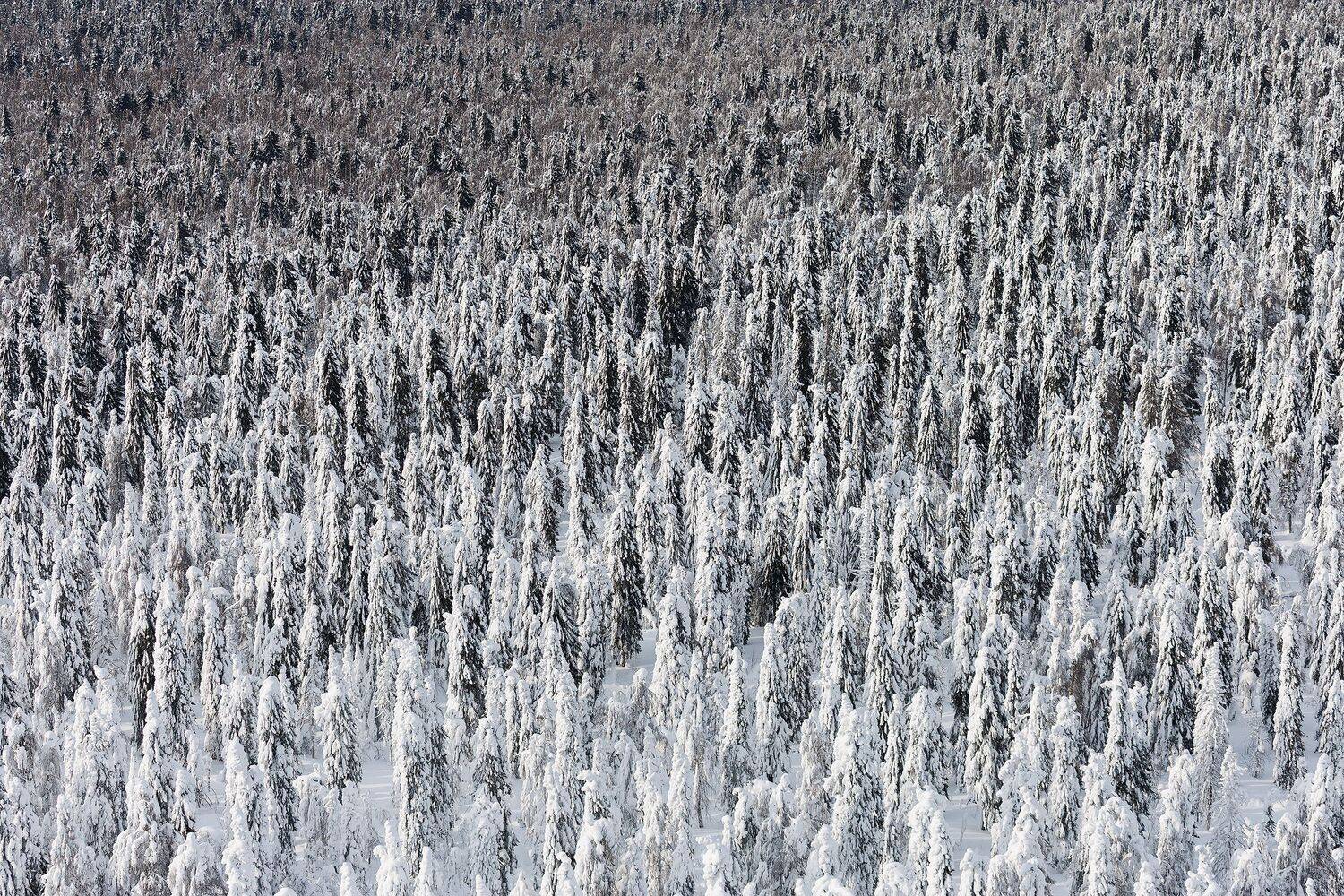 Урал, Полюд, зима, Кочкин Владимир