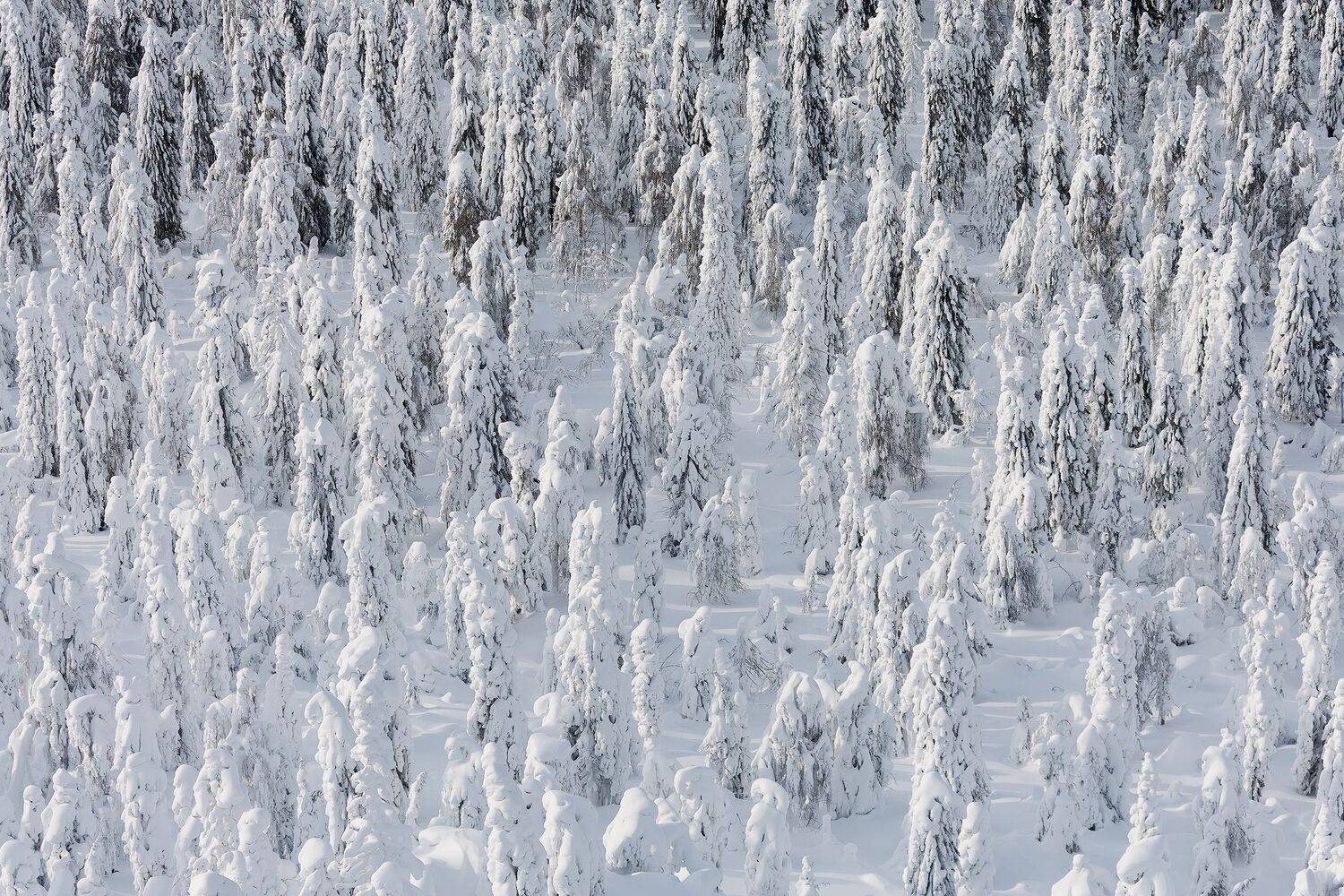 Урал, Полюд, Зима, Кочкин Владимир