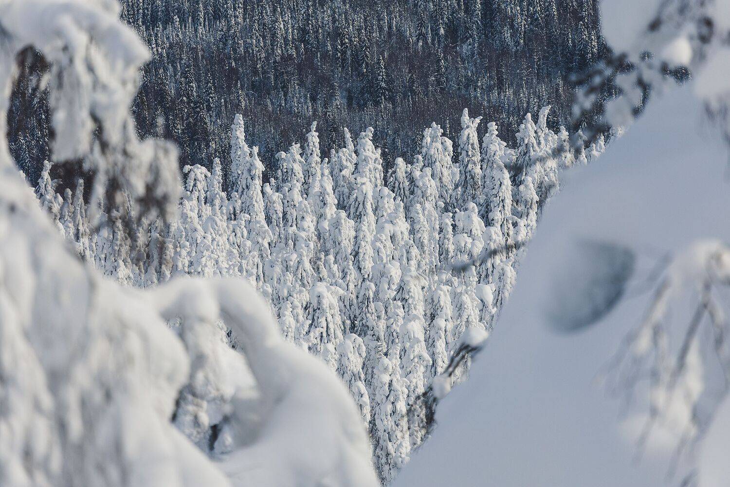 Урал, Полюд, Зима, Кочкин Владимир