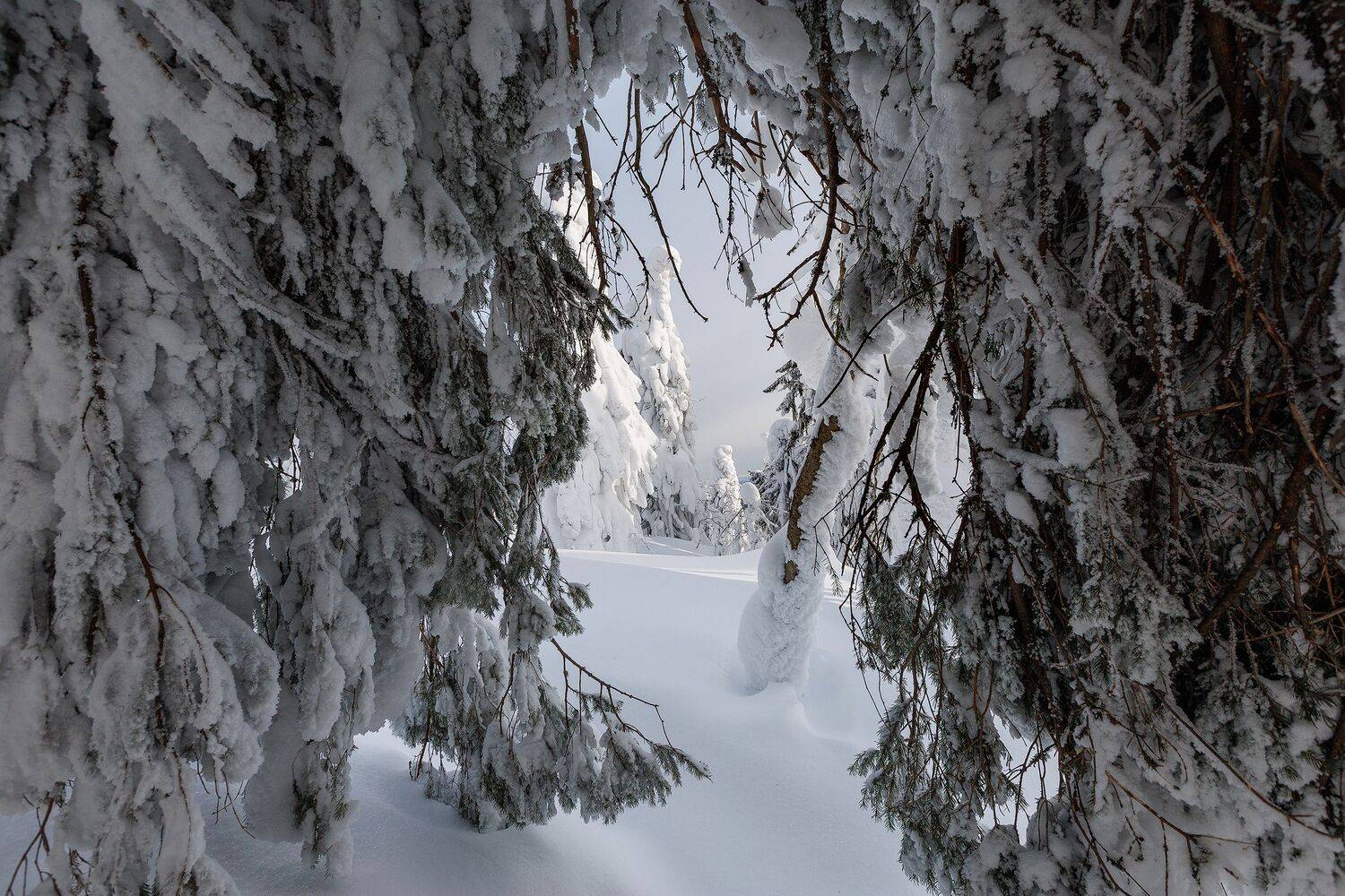 Урал, Полюд, Зима, Кочкин Владимир