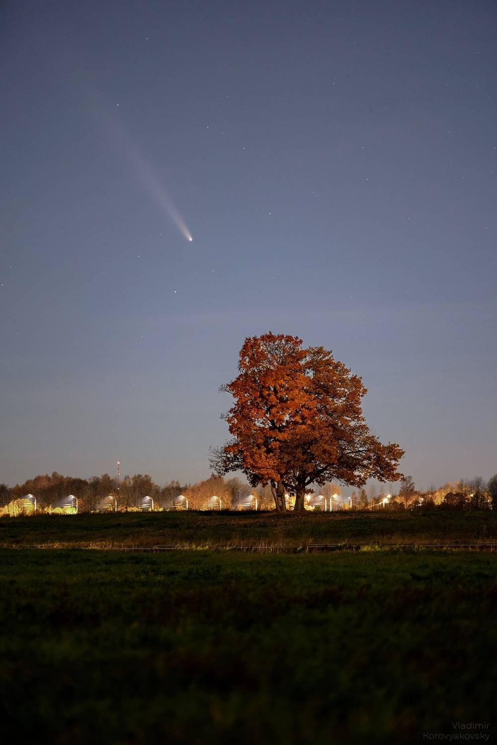 комета, дуб, Vladimir Korovyakovsky