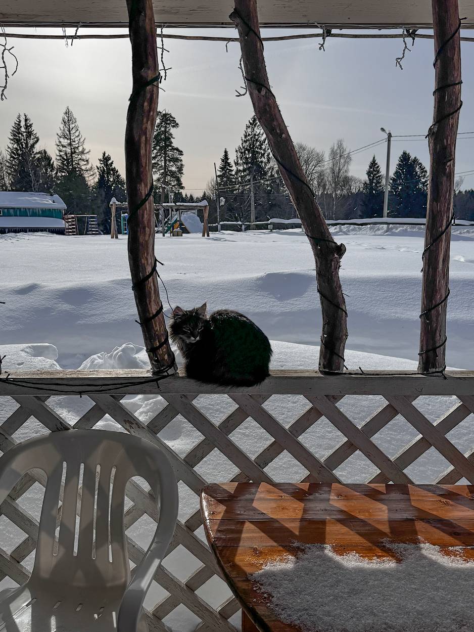 , Новикова Ольга