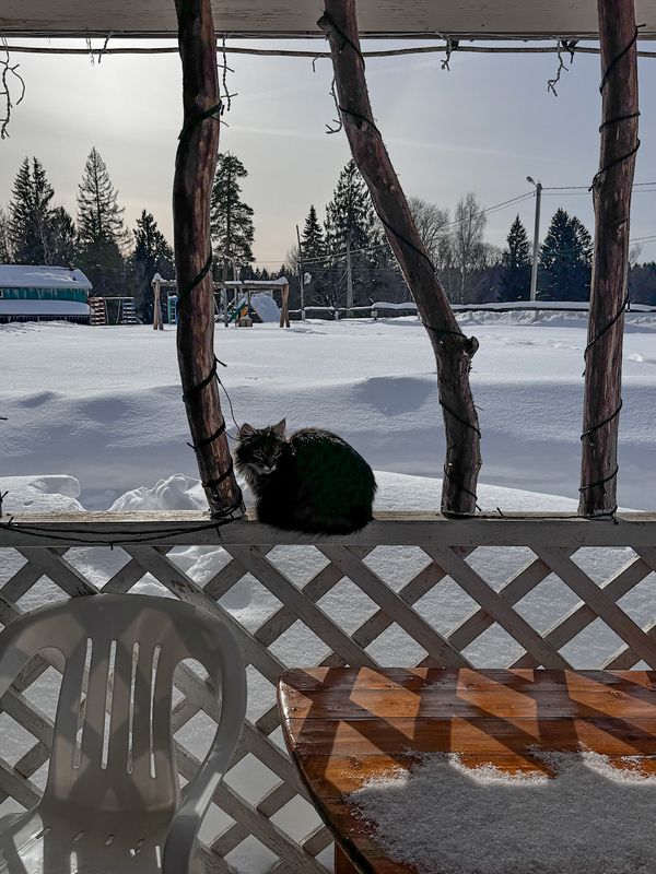 весенний этюд фото превью