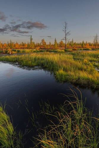 Осень в тундре