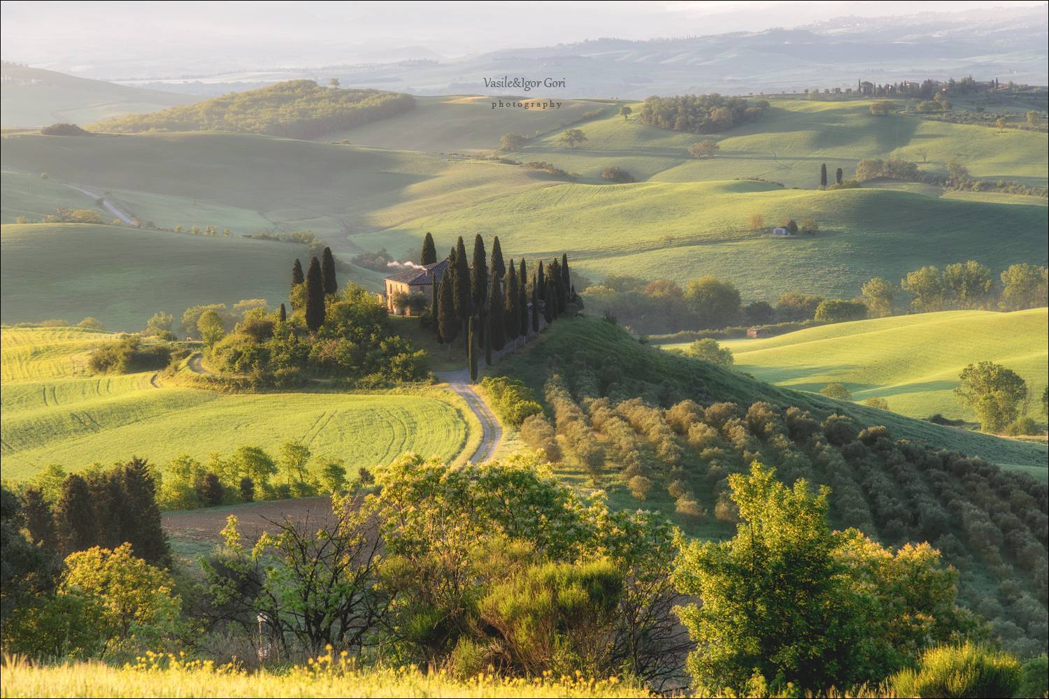italy, san quirico dorcia, весна, green, италия, кипарис, тоскана, belvedere, pienza, утро, tuscany, cipressi, Василий Гори