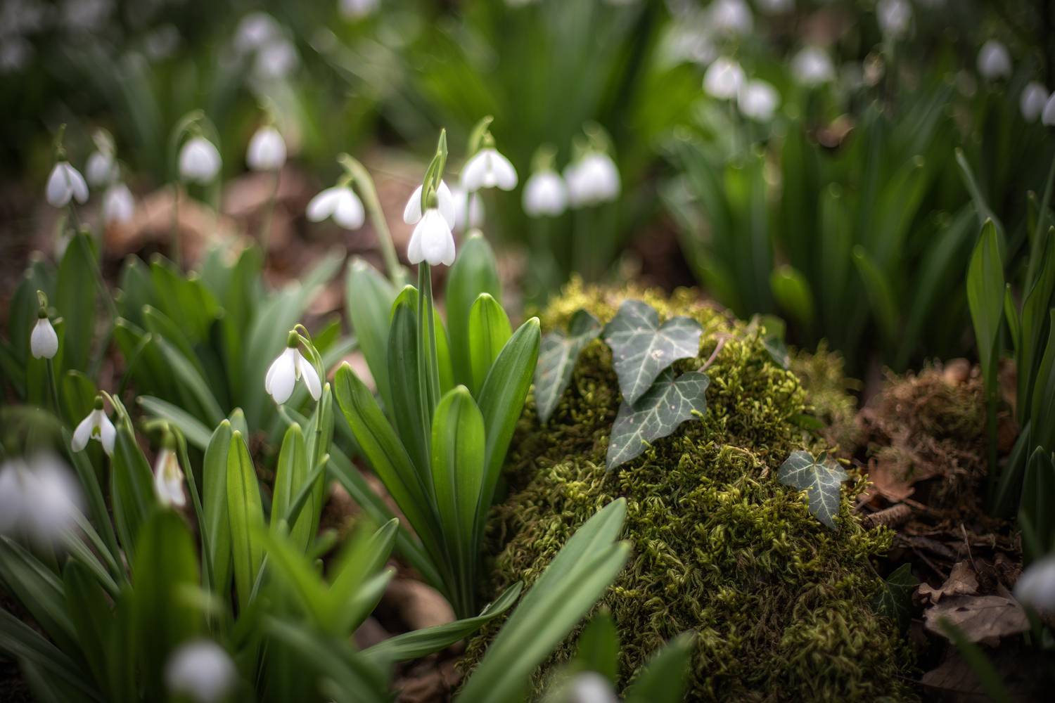 Крым, Гусева Елена