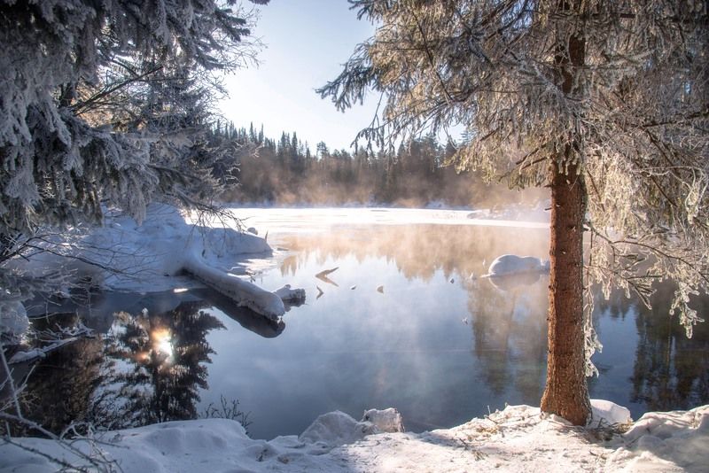 У пруда фото превью