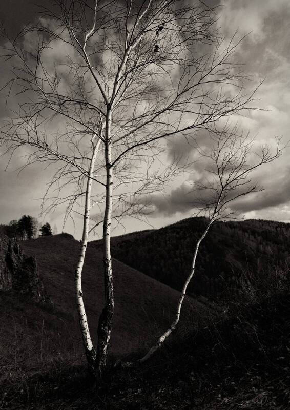 красноярские столбы, красноярск Осеннее настроение фото превью