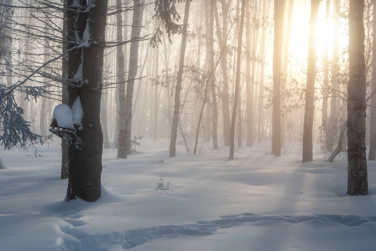 , Важенин Евгений