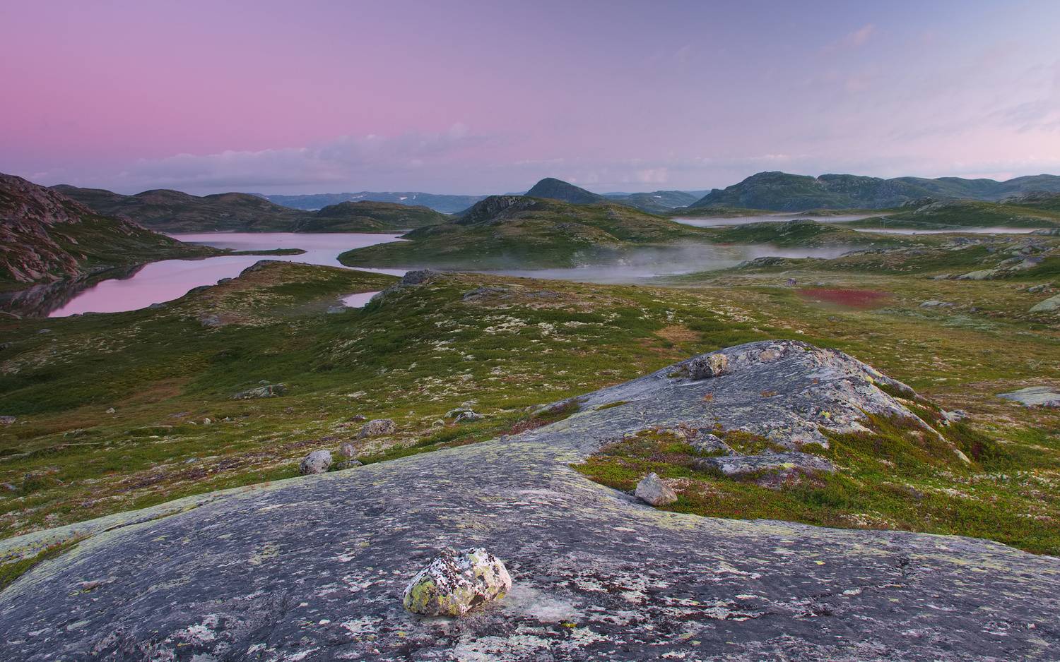 , Wojciech Tarnowski