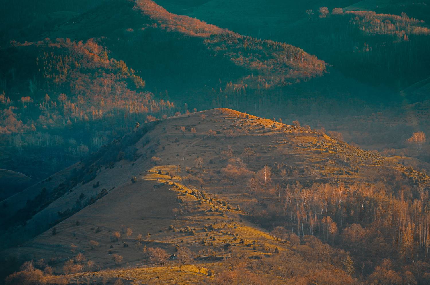 , Николов Андриян