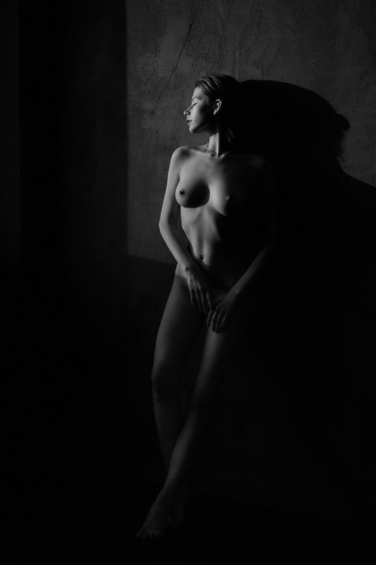 Lily фото превью