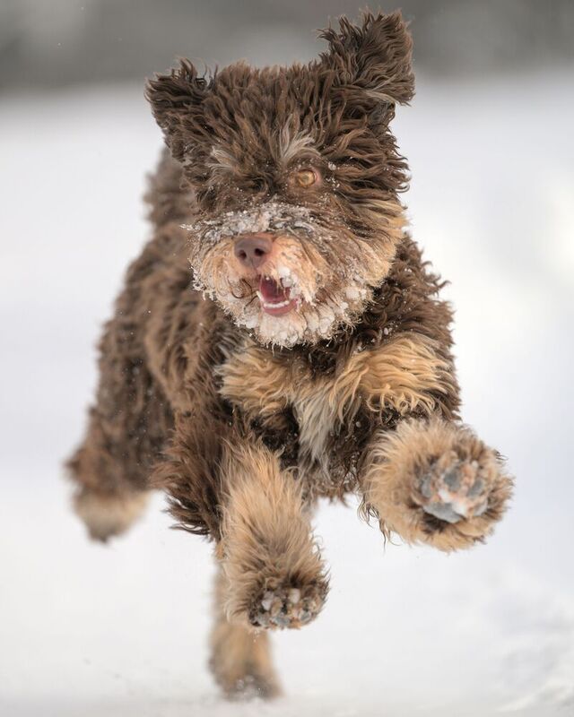 Fanya фото превью