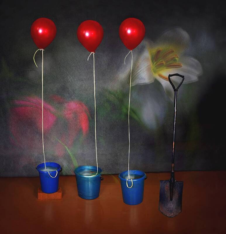 Посадка надежды... фото превью