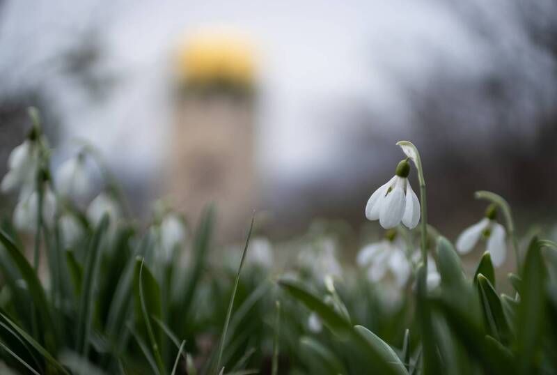 ... фото превью