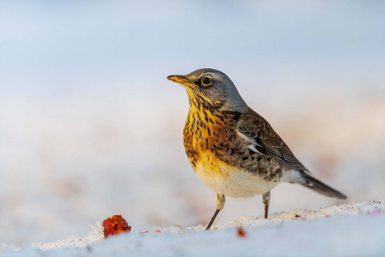 , Павел Ныриков