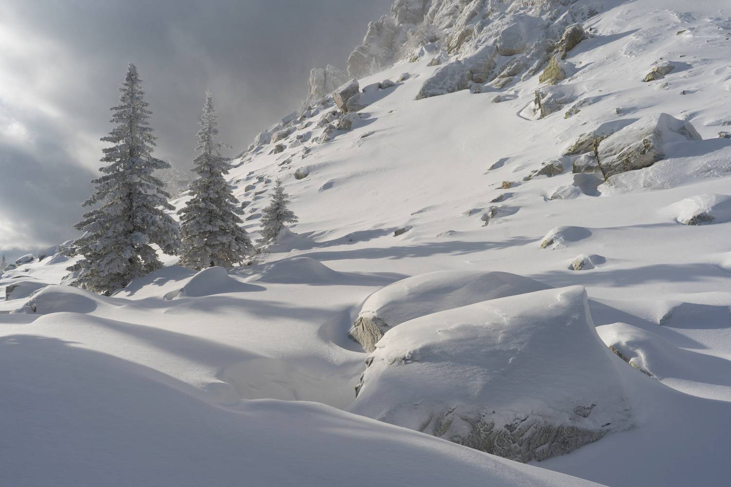 , Михаил Рева